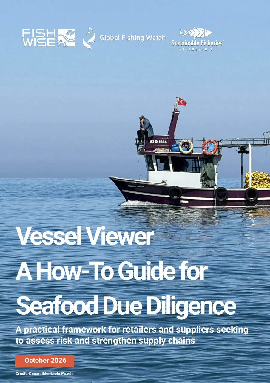 Using Vessel Viewer to Strengthen Seafood Supply Chain Due Diligence