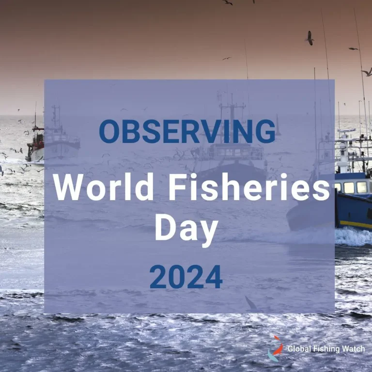 On World Fisheries Day, Global Fishing Watch Urges Binding Vessel Tracking Agreement